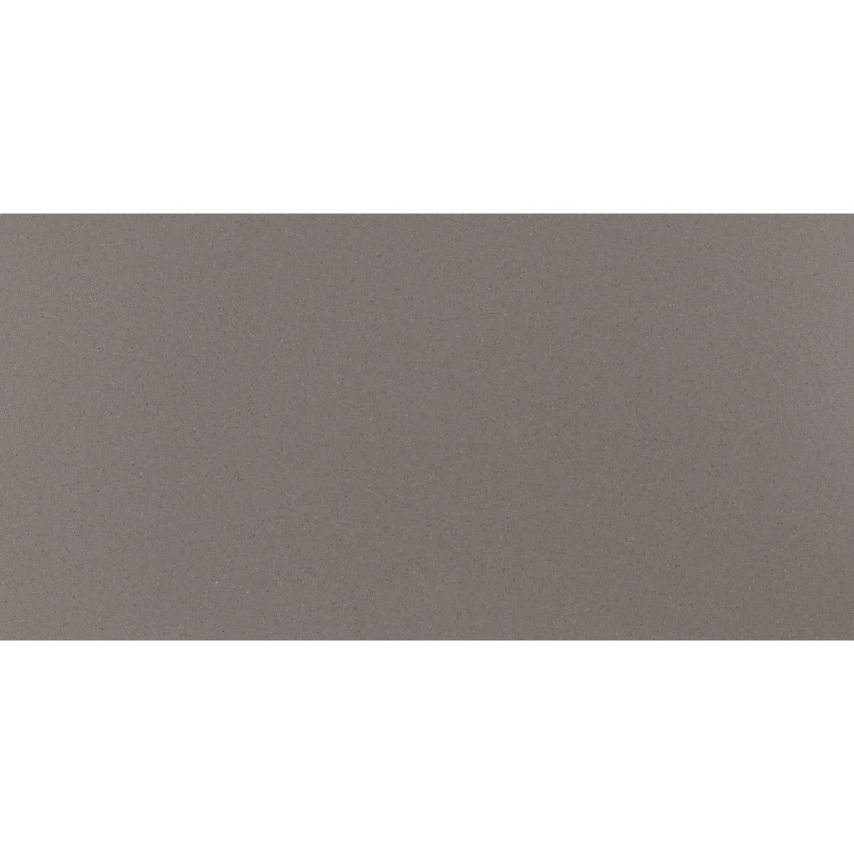 Daltile Median Taupe 12x24