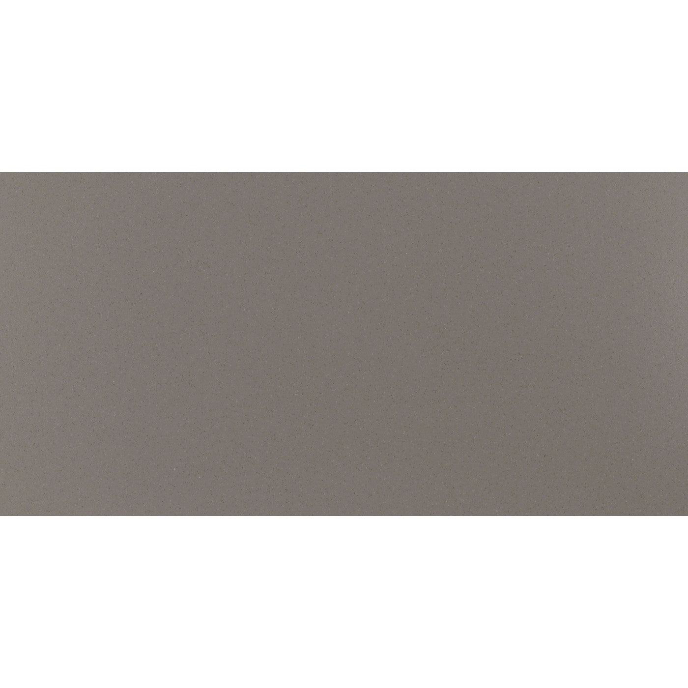 Daltile Median Taupe 12x24