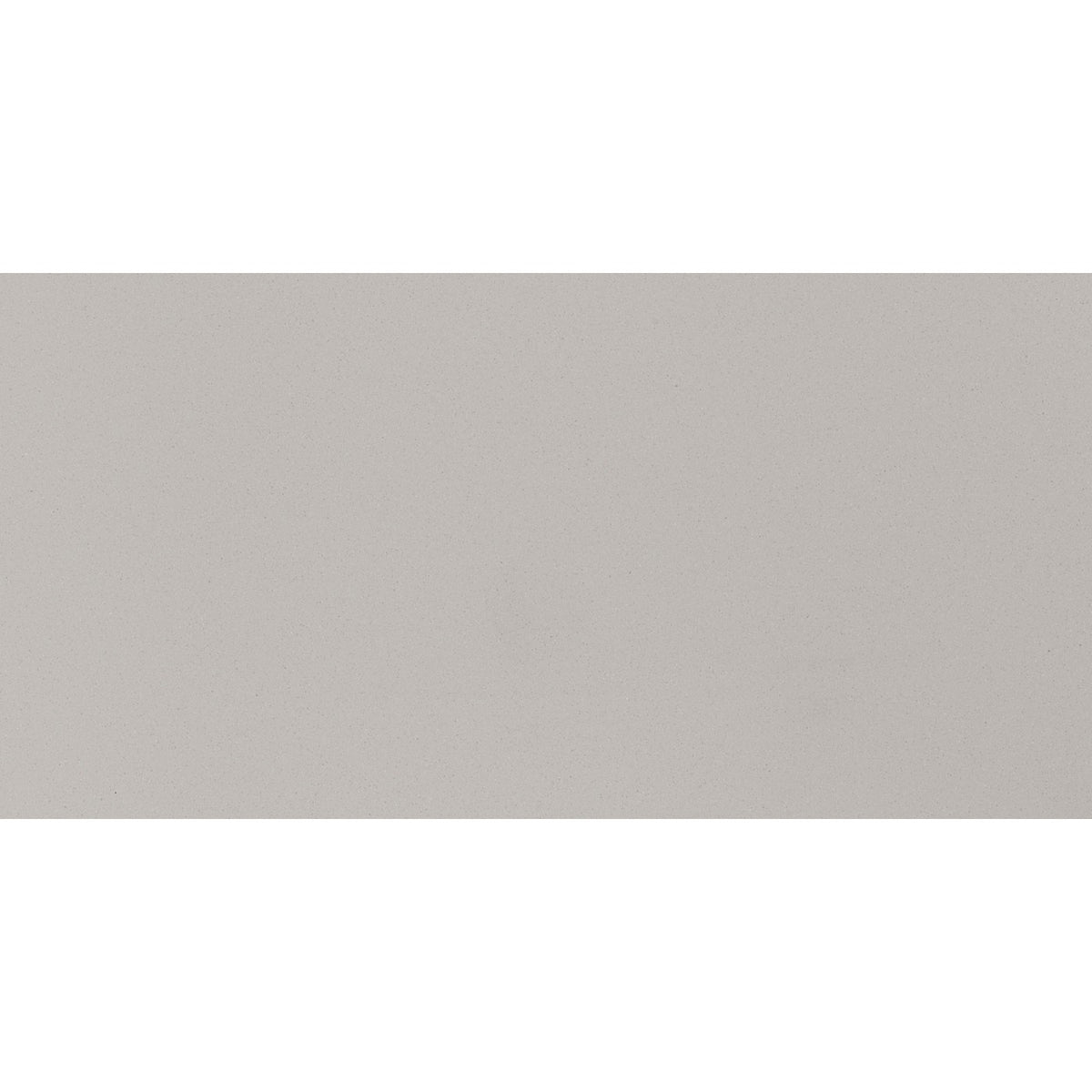 Daltile Median Light Gray 12x24