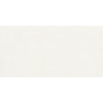 Daltile Portfolio Ice tile