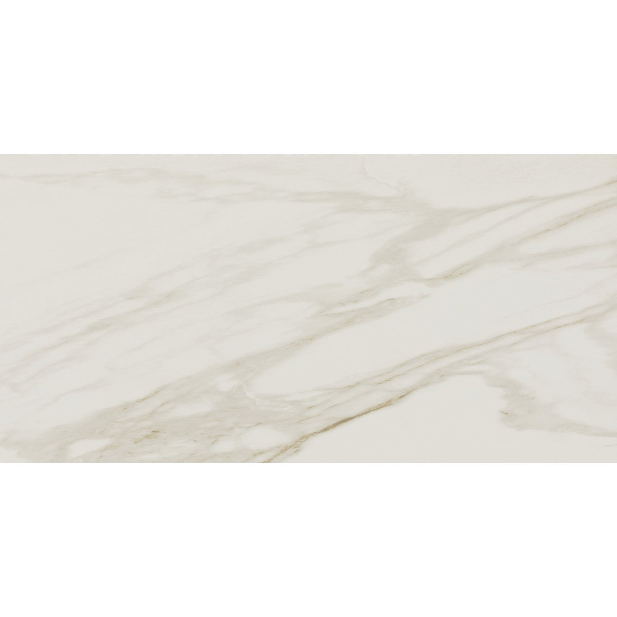 Daltile Perpetuo Brilliant White tile
