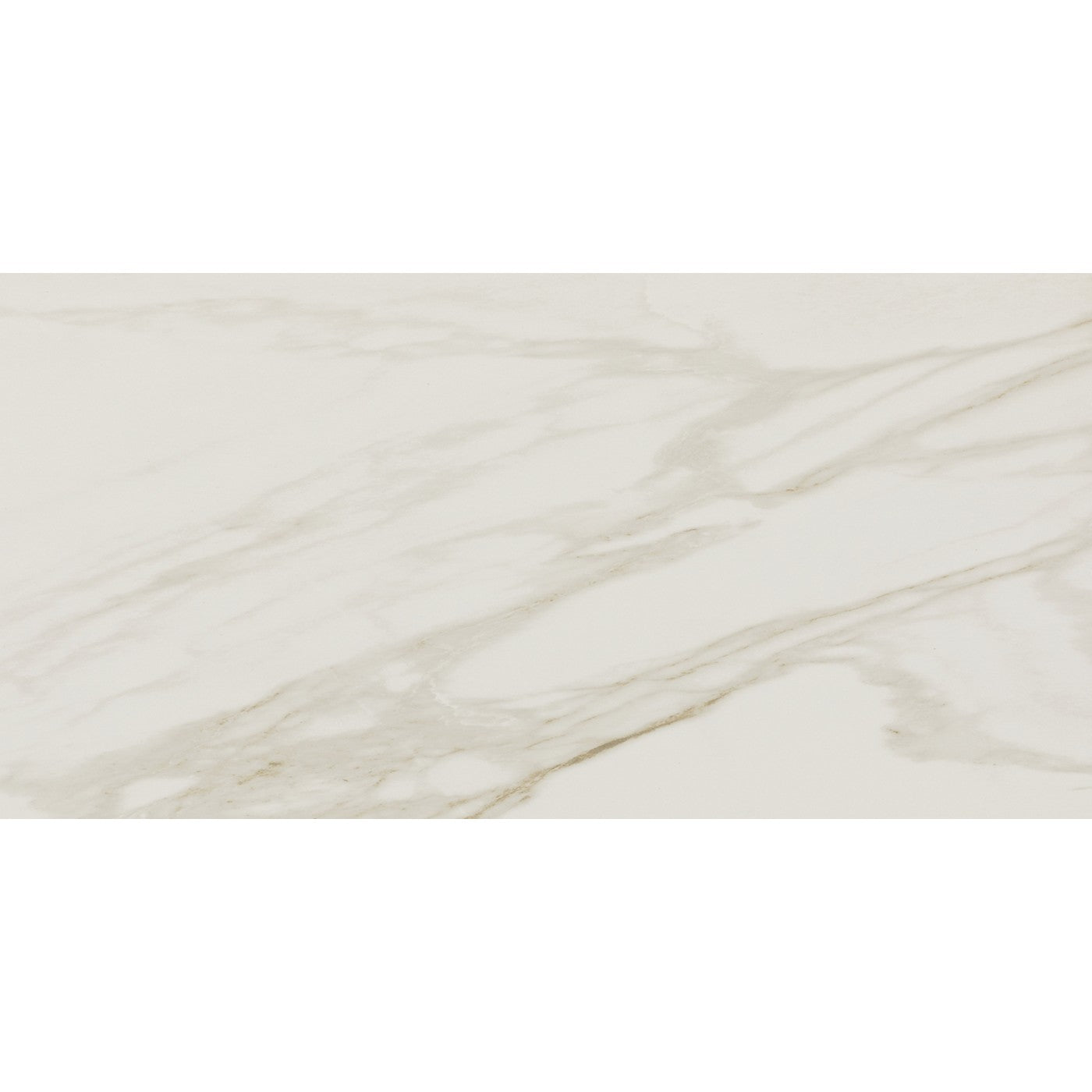Daltile Perpetuo Brilliant White tile