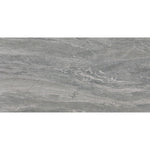 Daltile Perpetuo Eternal Grey tile