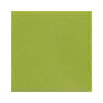 Daltile Natural Hues Kiwi