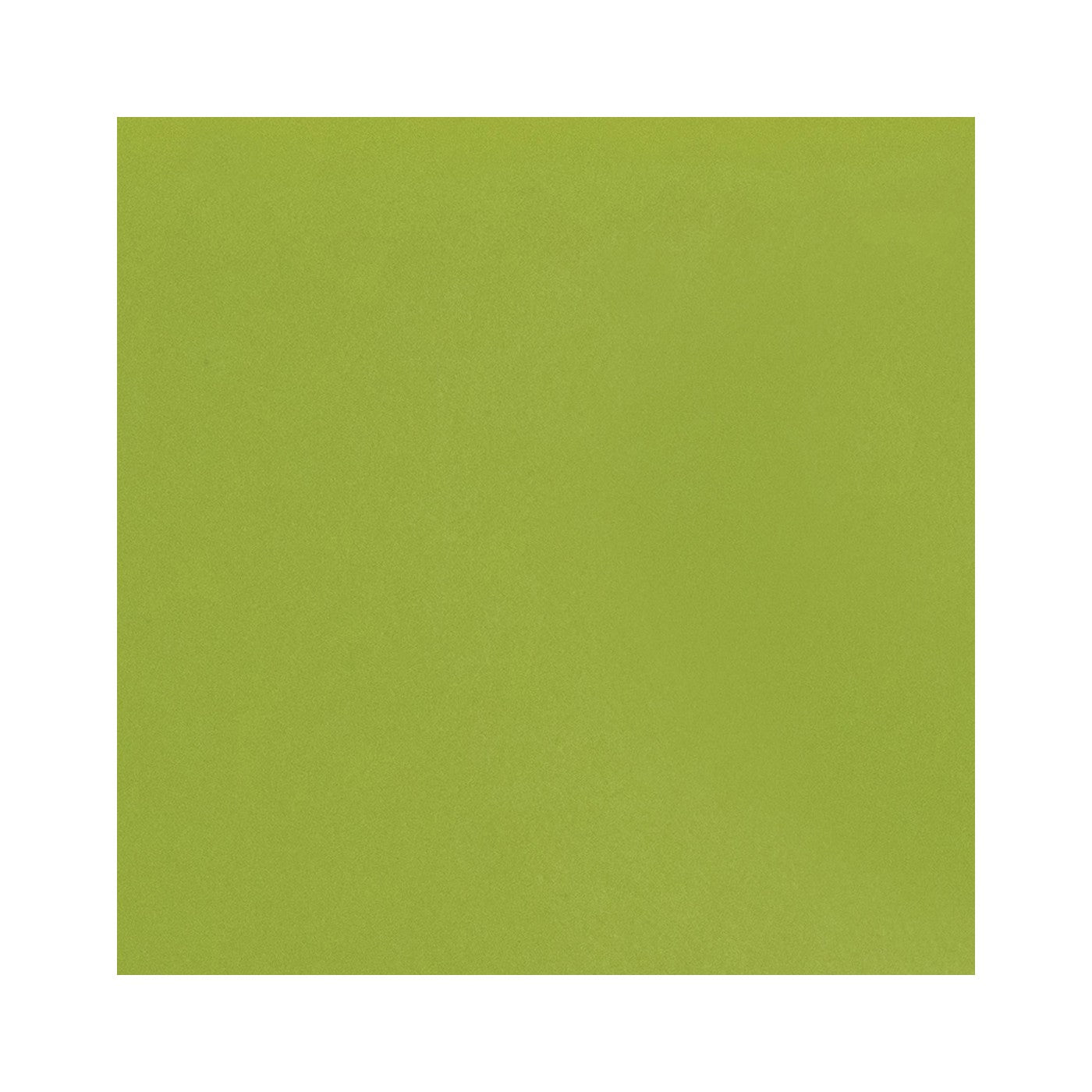 Daltile Natural Hues Kiwi