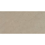 Daltile Sand and Stone Tundra terrazzo-look porcelain tile