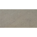 Daltile Sand and Stone Dune terrazzo-look porcelain tile