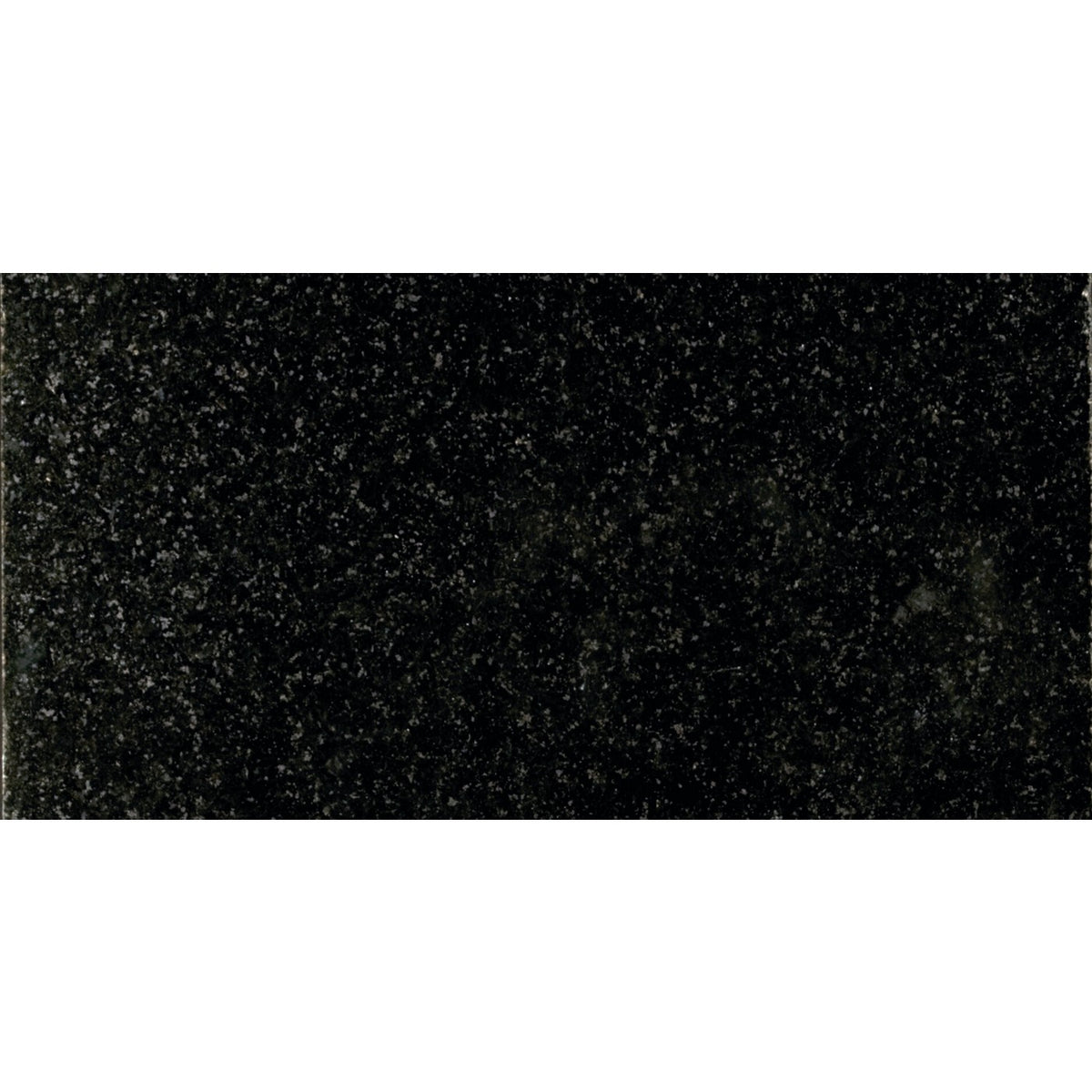 Daltile Granite Absolute Black