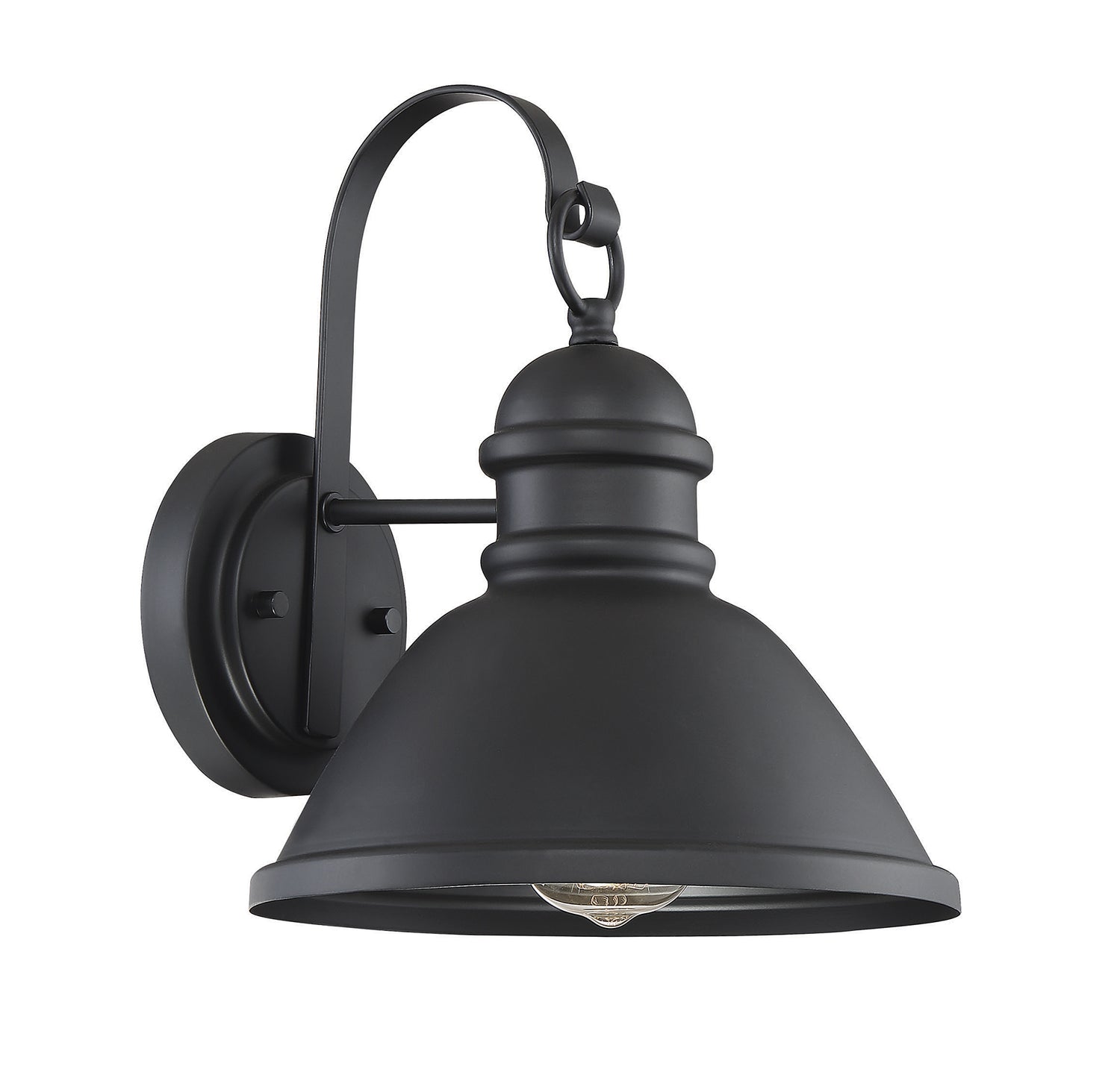 Meridian M50016 1-Light Outdoor Wall Lantern