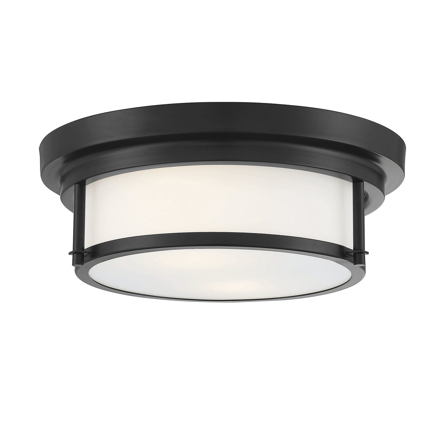 Meridian M60062 2-Light Ceiling Light