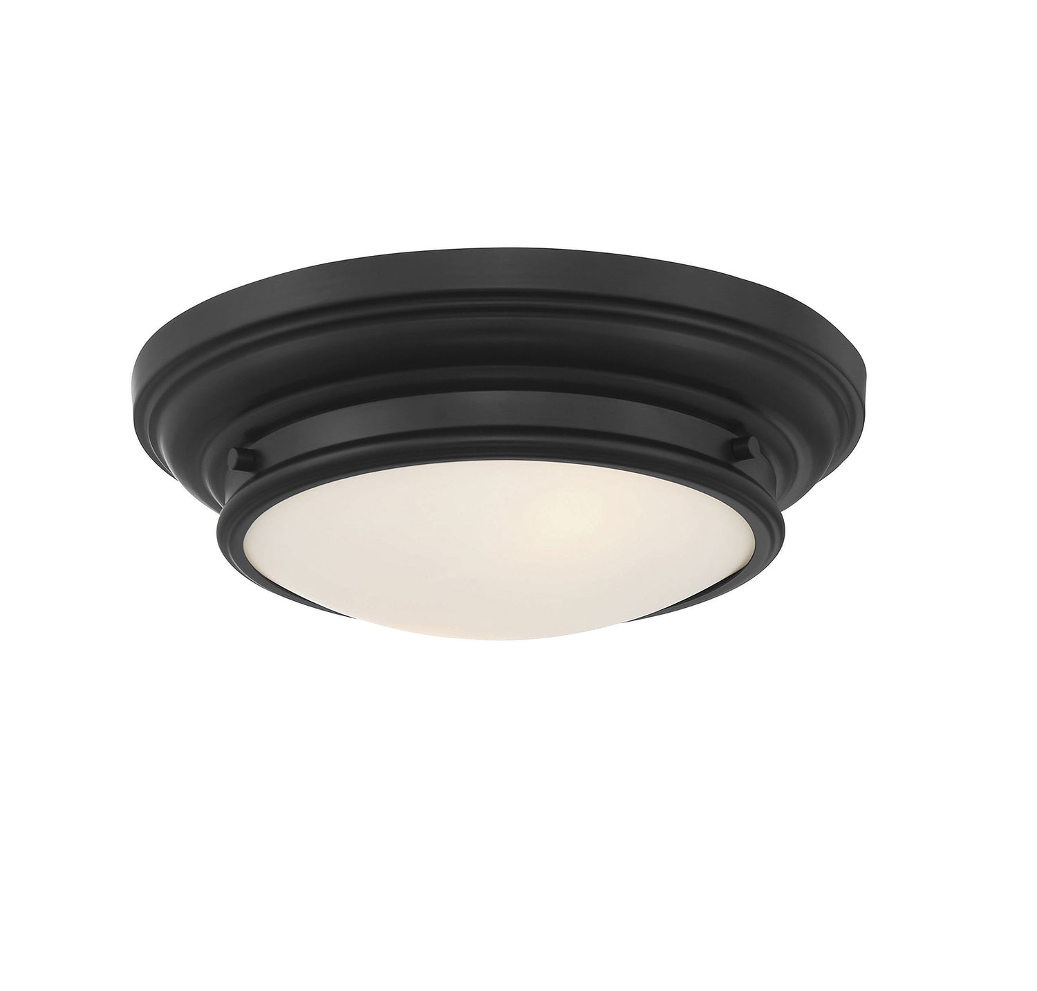Meridian M60063 2-Light Ceiling Light