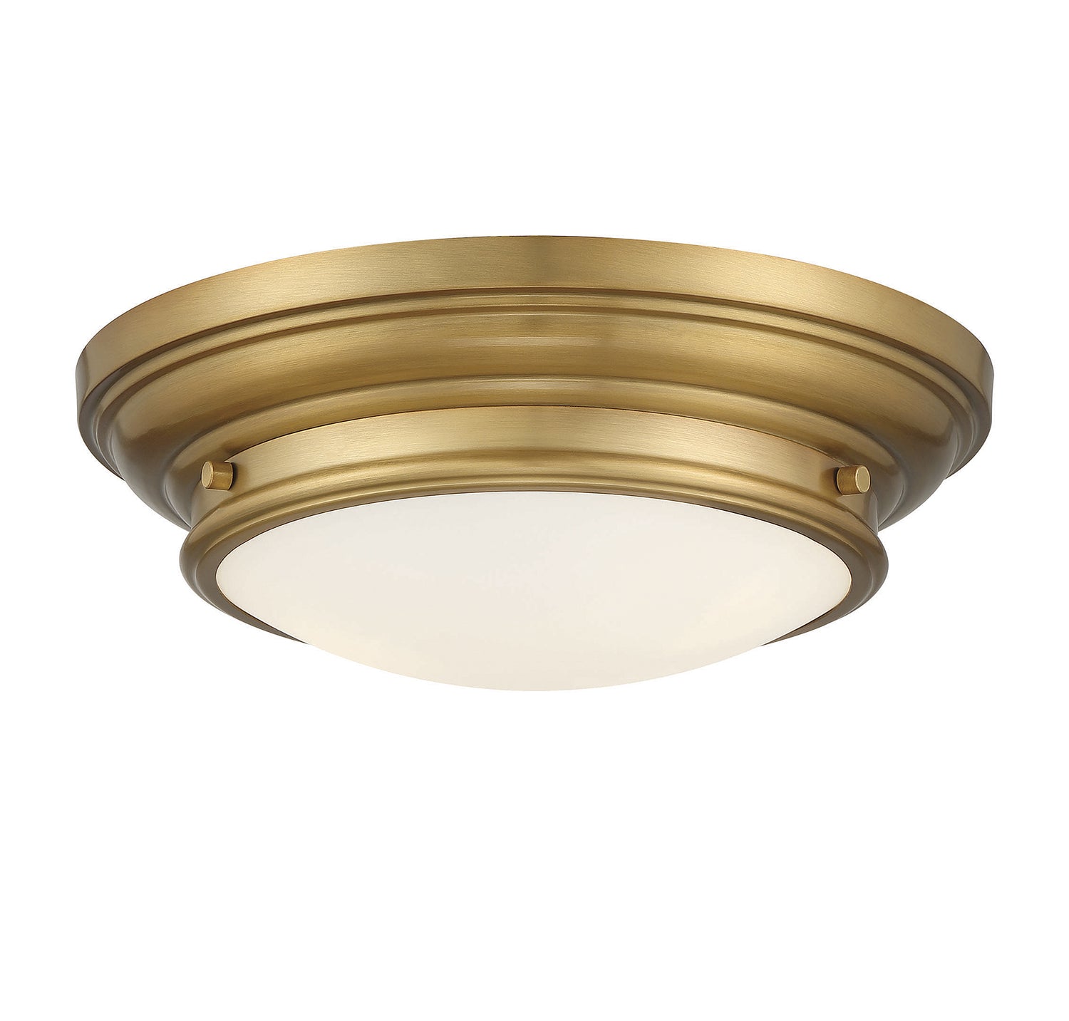 Meridian M60063 2-Light Ceiling Light
