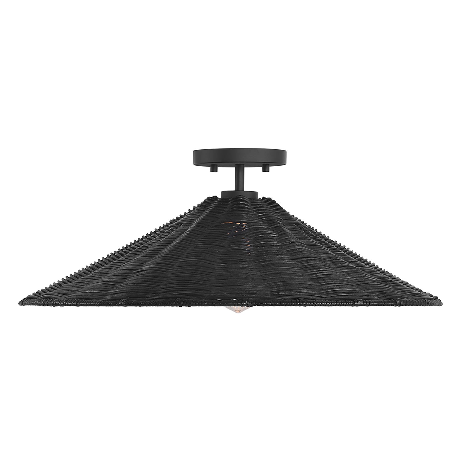 Meridian M60074 1-Light Ceiling Light