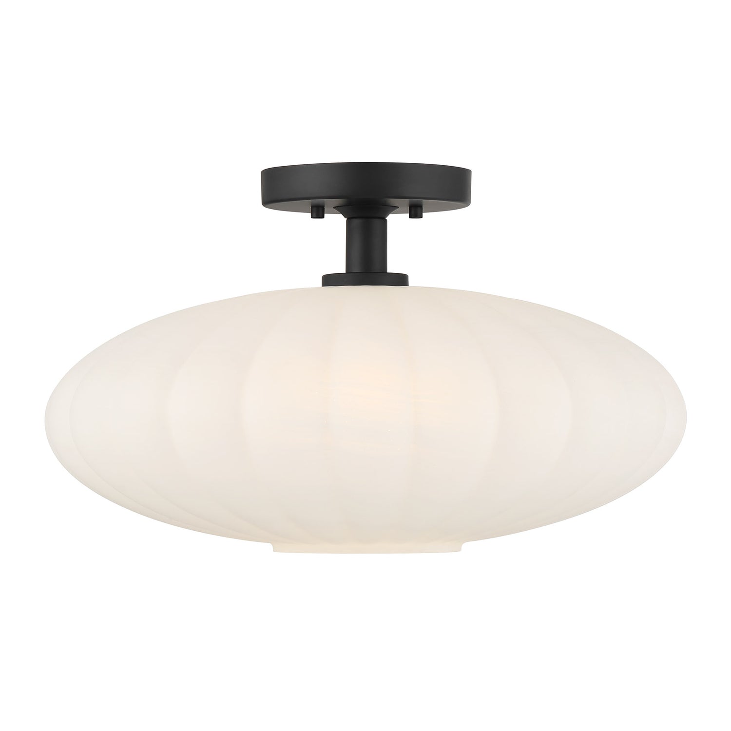 Meridian M60075 1-Light Ceiling Light