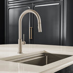 Ruvati Vestia Kitchen Faucet — Stainless Steel