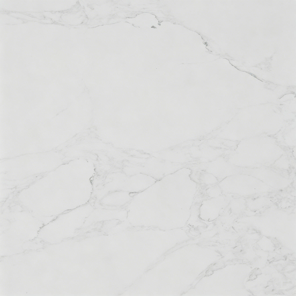 Legion WH2260 White