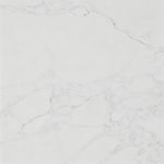 Legion WH2960-D-EB-KD Ebony