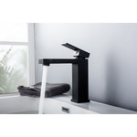 Legion ZY2416-OR Oil Rubbed Bronze