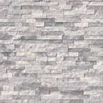 MSI Rockmount Alaska Gray marble splitface ledger panel 6x24