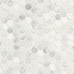 Arabescato Carrara 1" Hexagon Honed