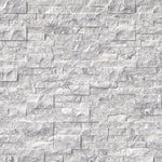 Arabescato Carrara splitface ledger panel 6x24