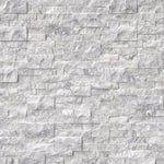 Arabescato Carrara splitface ledger panel detail