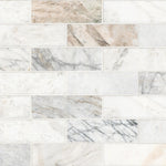 Arabescato Venato White 2x6 Subway honed marble mosaic