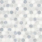 Azula 1 inch Hex polished marble mosaic