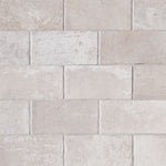 Ivory 5x10