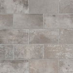 Taupe 5x10