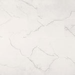 Brighton Grey 24x48