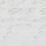 Pietra Carrara 2x4 Polished