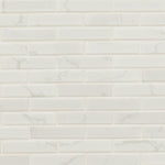 Carrara Porcelain 1x4 Matte