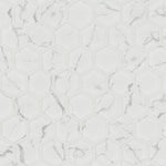 Carrara Porcelain 2" Hexagon Matte