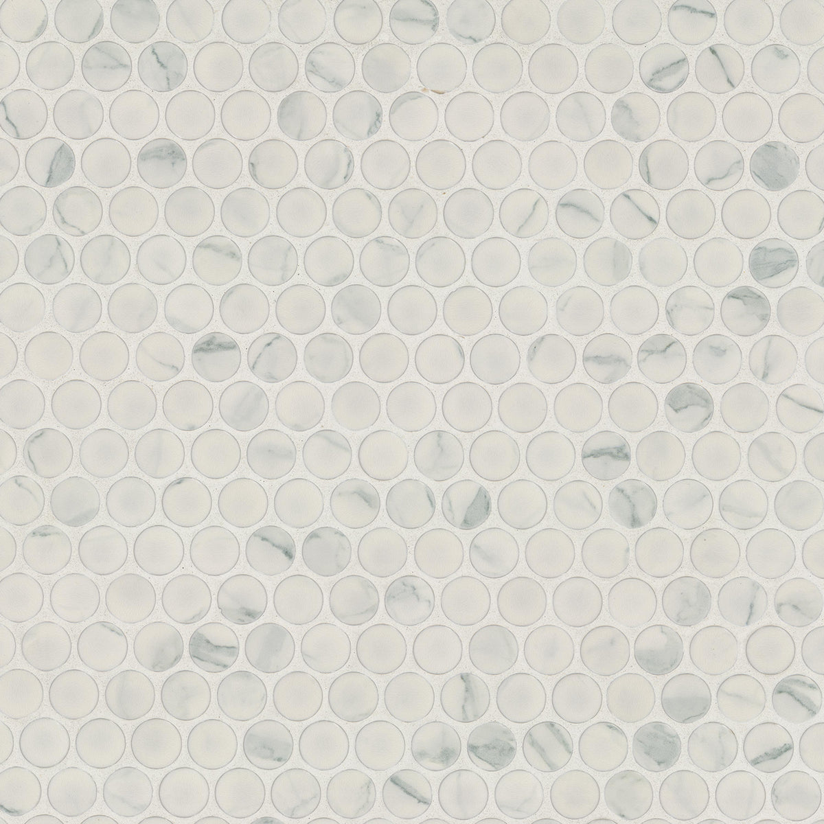 Carrara Porcelain Penny Round Matte