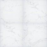 Praia Carrara 24x24 2cm Paver Matte — 8.0 sq ft/box