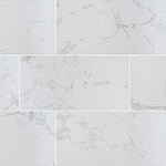 Praia Carrara 12x24 Matte — 16.0 sq ft/box