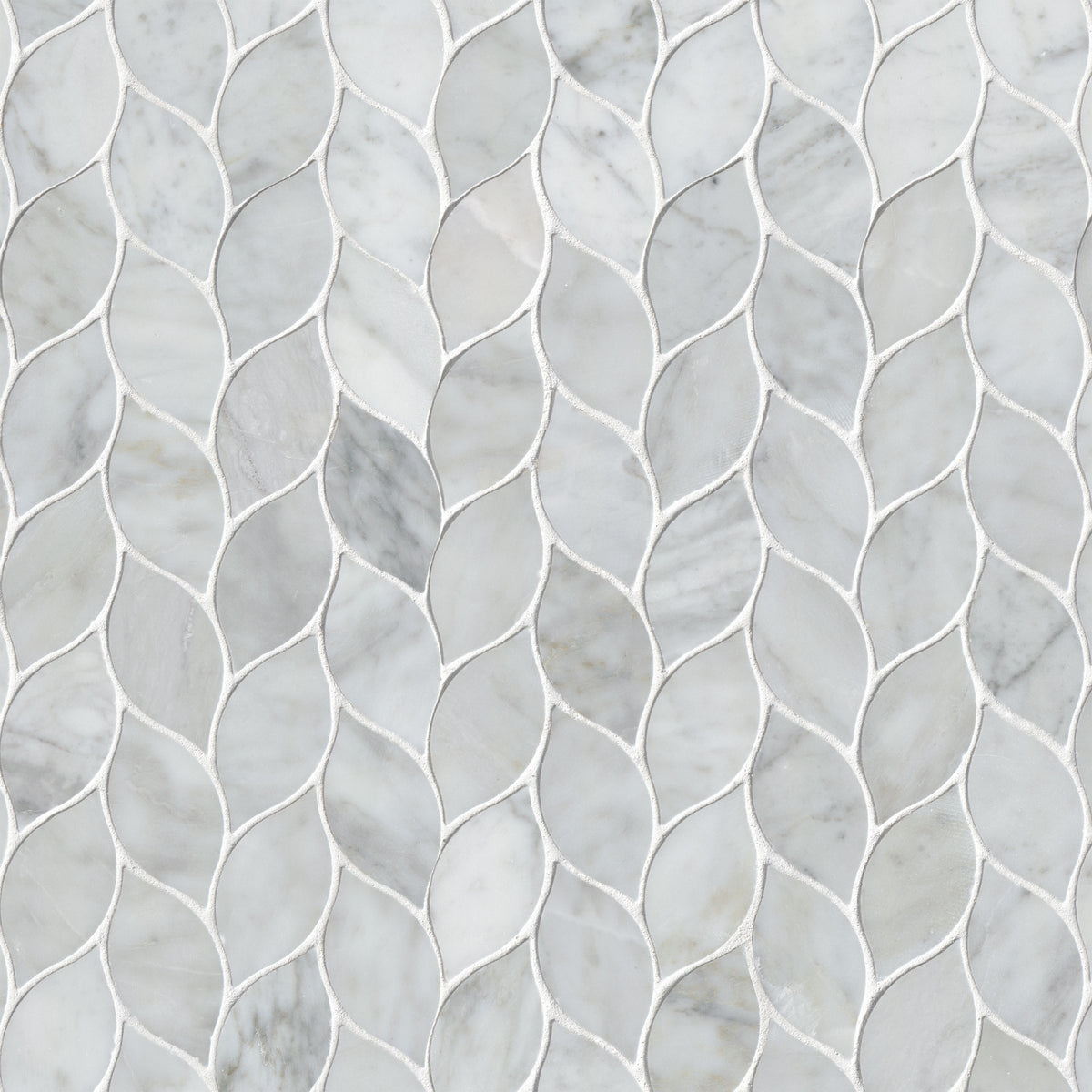 Carrara White Blanco Pattern Honed
