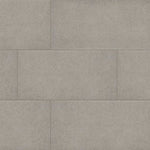 MSI Arterra Cementique Silver 24x48 paver
