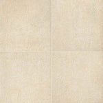 MSI Arterra Cementique Talc 24x24 paver