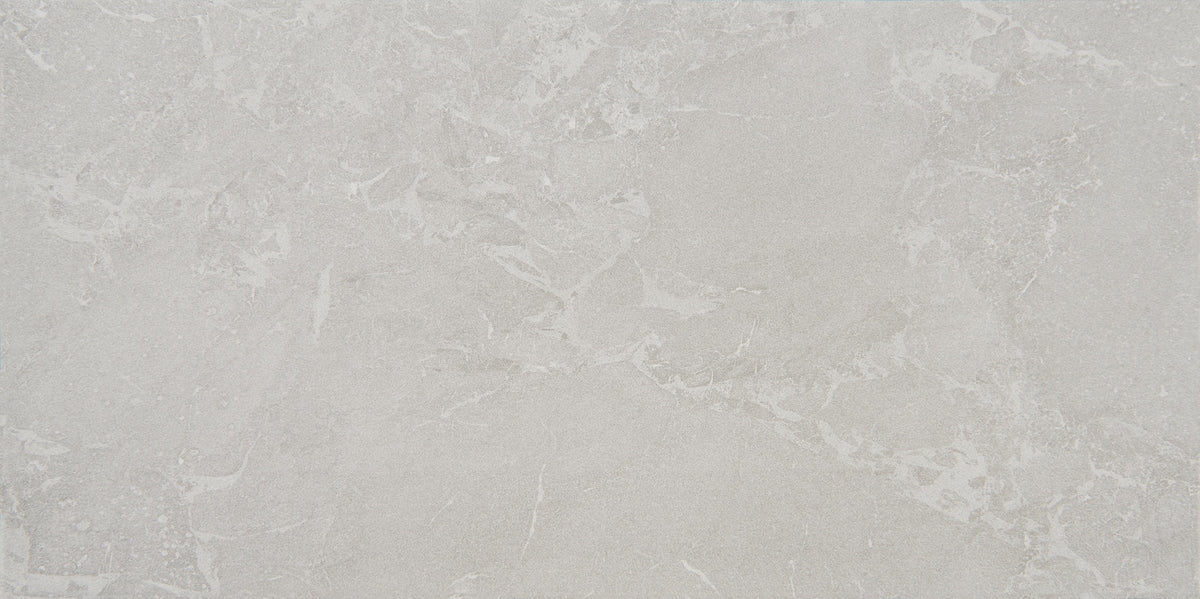 Daltile Enlite Clarity 15x30 matte porcelain tile