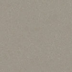 Daltile ONE Quartz - Concrete Look - Cabrini Grey tile