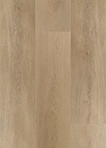 Daltile Asher Bend - Hearth tile
