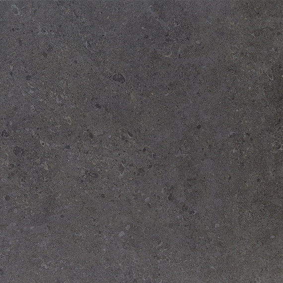 Daltile Dignitary - Governor Black tile
