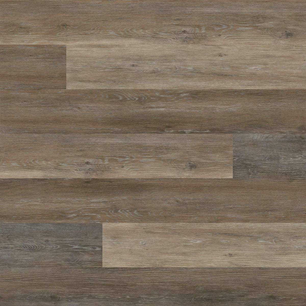 MSI XL Cyrus® Luxury Vinyl Plank – 9×60 Wide Plank Rigid Core, 12 MIL — Dulles Tails