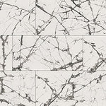 Exotika Lux Iceberg White 24x48