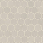 MSI Sande Porcelain Mosaics - Ivory 2x2 Hexagon Matte