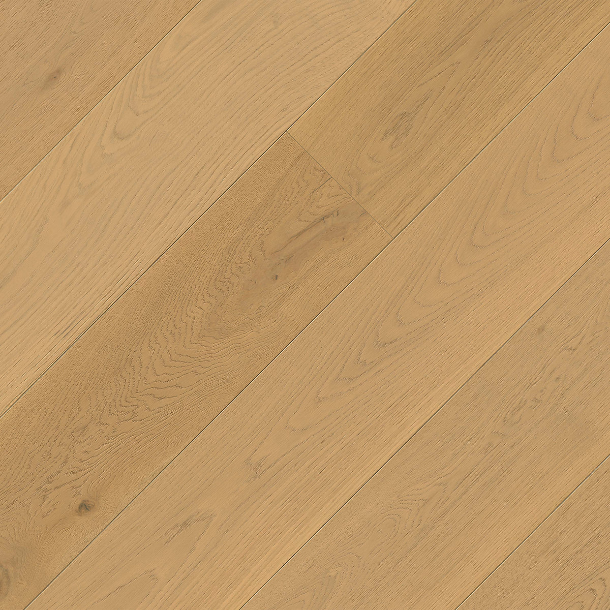 W by MSI Ladson Bramlett — plank profile