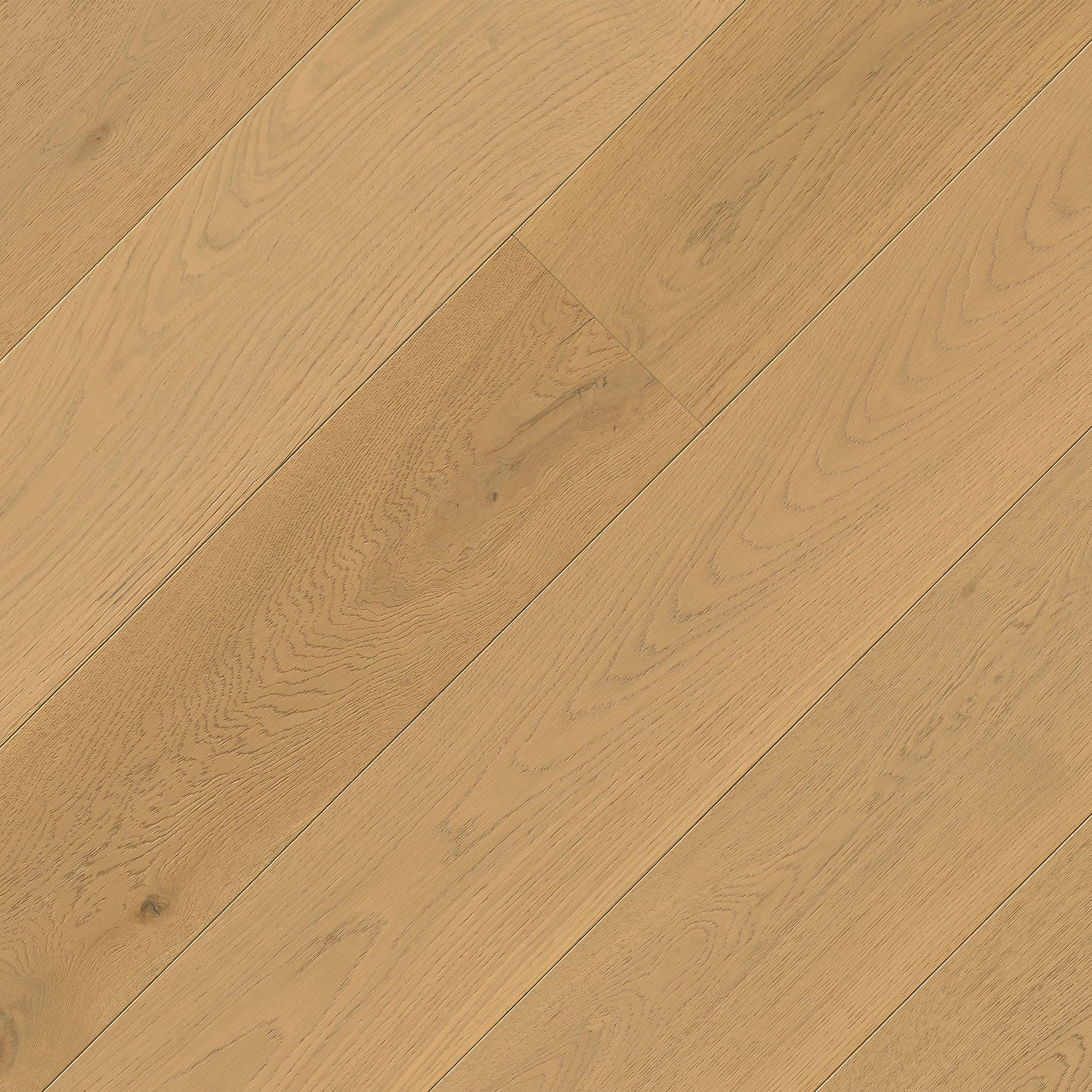 W by MSI Ladson Bramlett — plank profile
