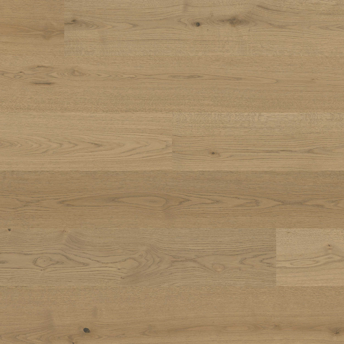 W by MSI McCarran — Adriel Oak — detail